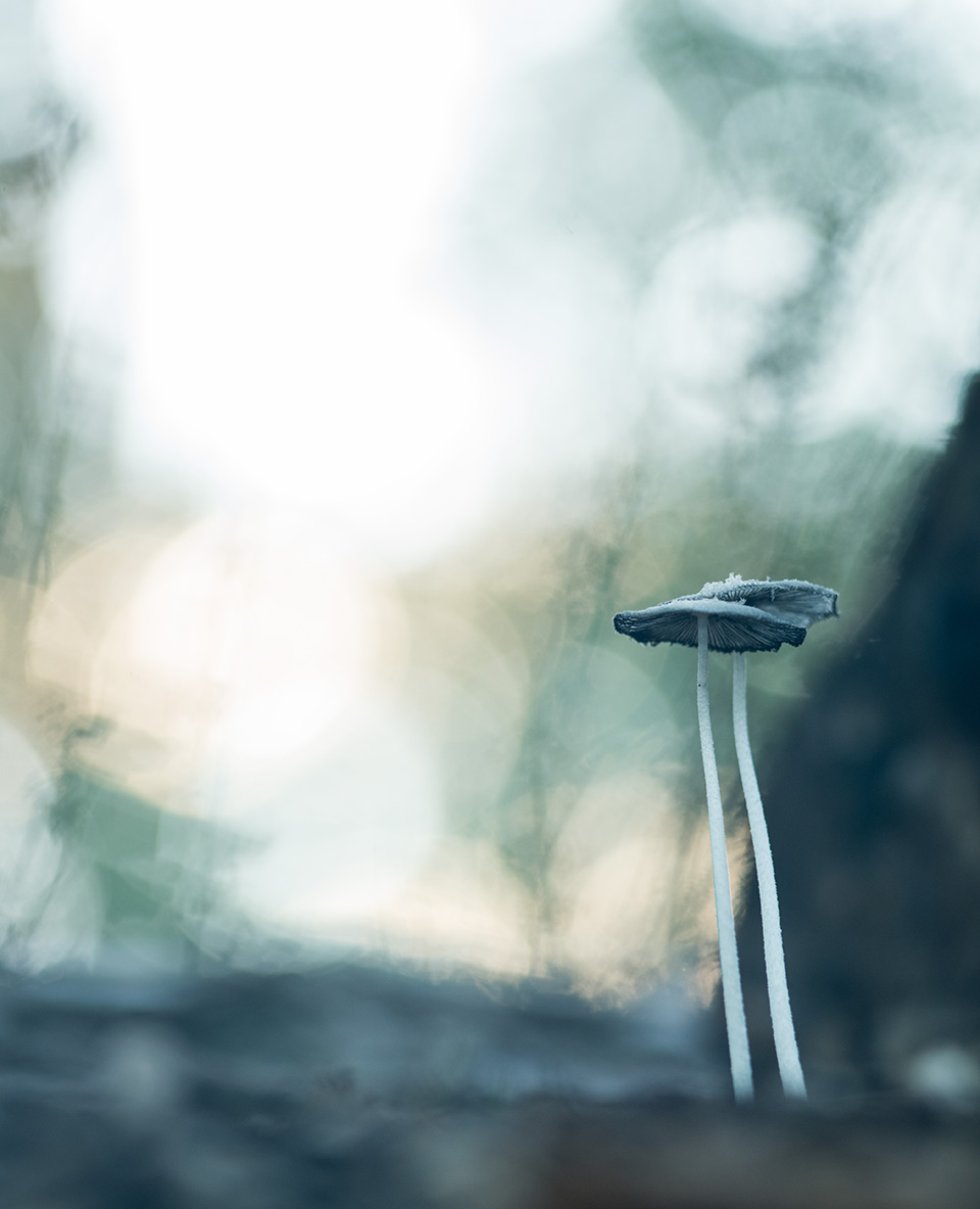 2018_09_Abtswoude_-4507_web