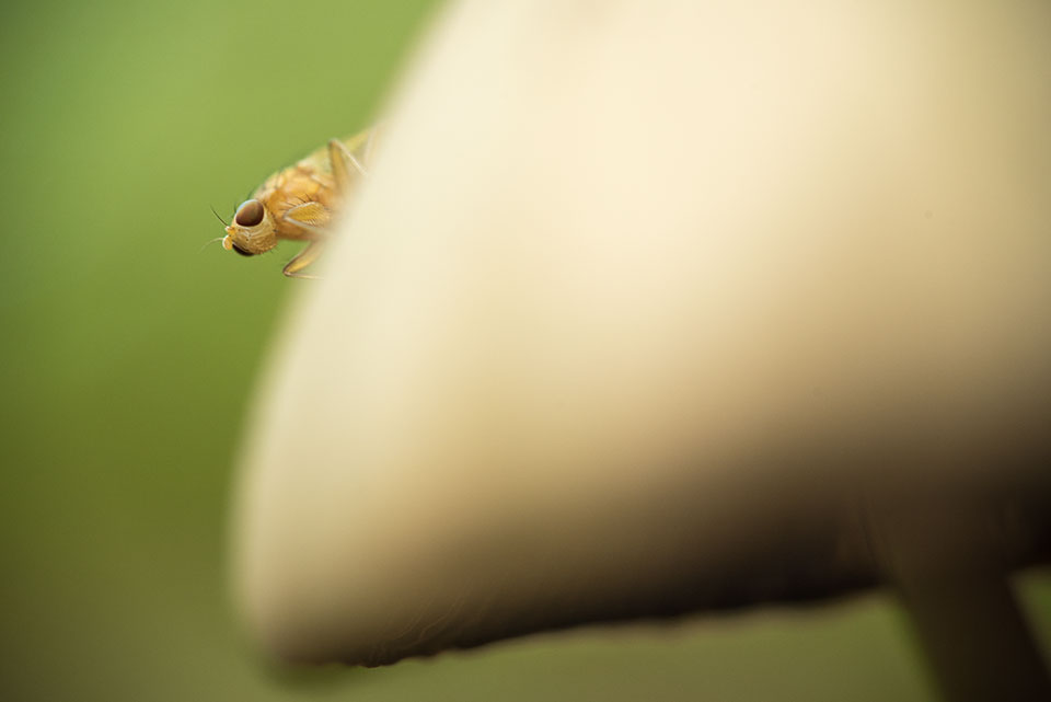 2018_09_Staelduin_-3597_web